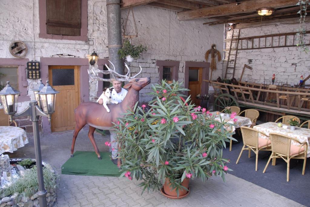 Gasthaus Zum Hirschen ริงส์ไฮม์ ภายนอก รูปภาพ
